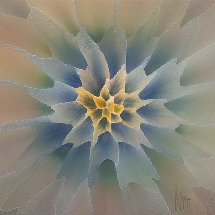 Morning Glow, 82