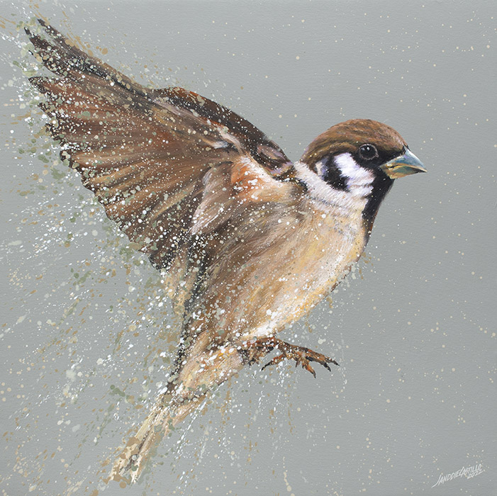 Sunlight Melody (Philippine Maya Bird or Sparrow), 76