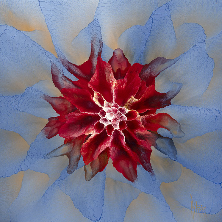 Shine Bright (Series) BR-1, 82