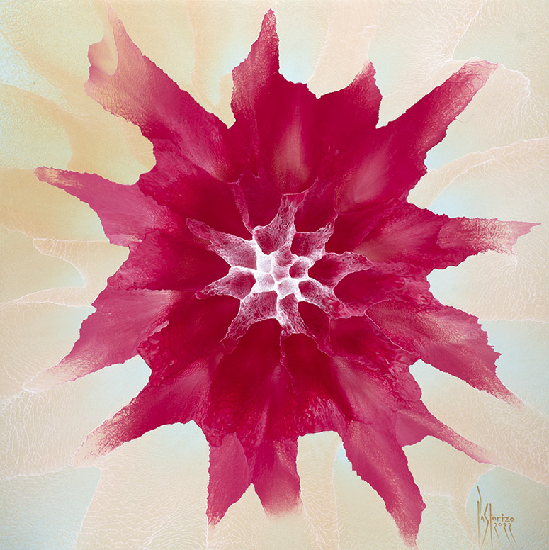 Shine Bright (Series) RB-1, 82