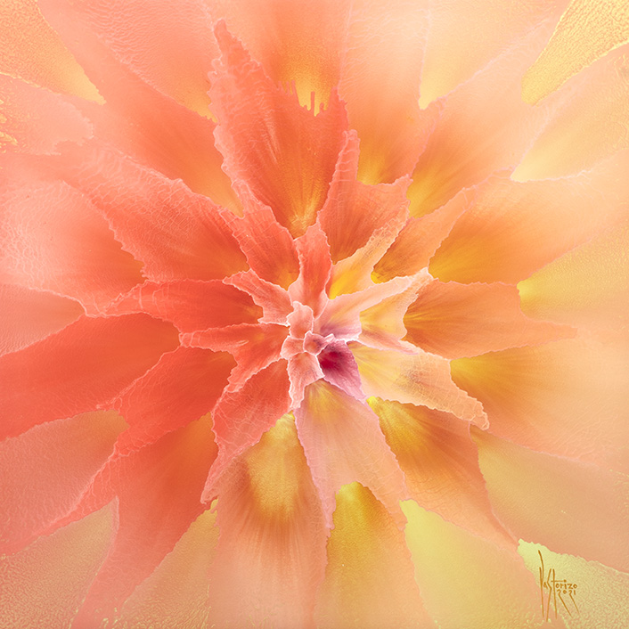 Sunrise II, 82