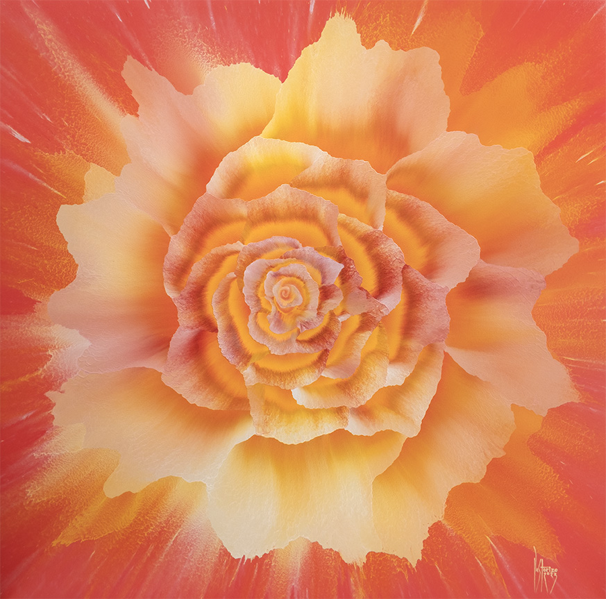 Catching Sunrise 1 (Sunrise), 82