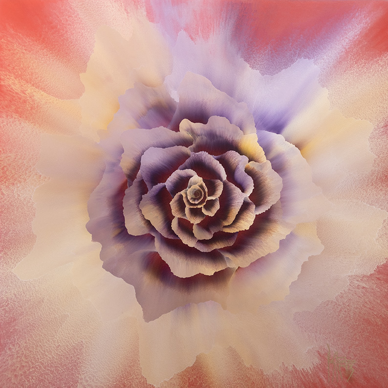 Rosas 1 (Series), 82