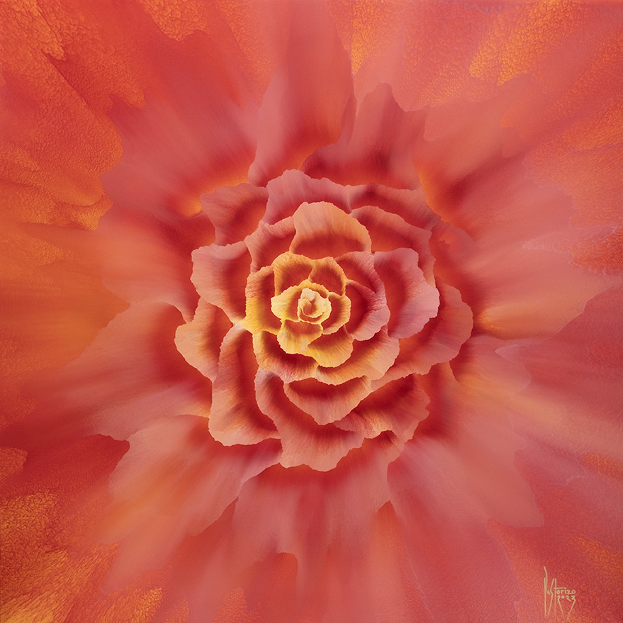 Rosas 3 (Series), 82