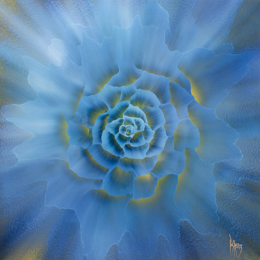 Rosas 4 (Series), 82