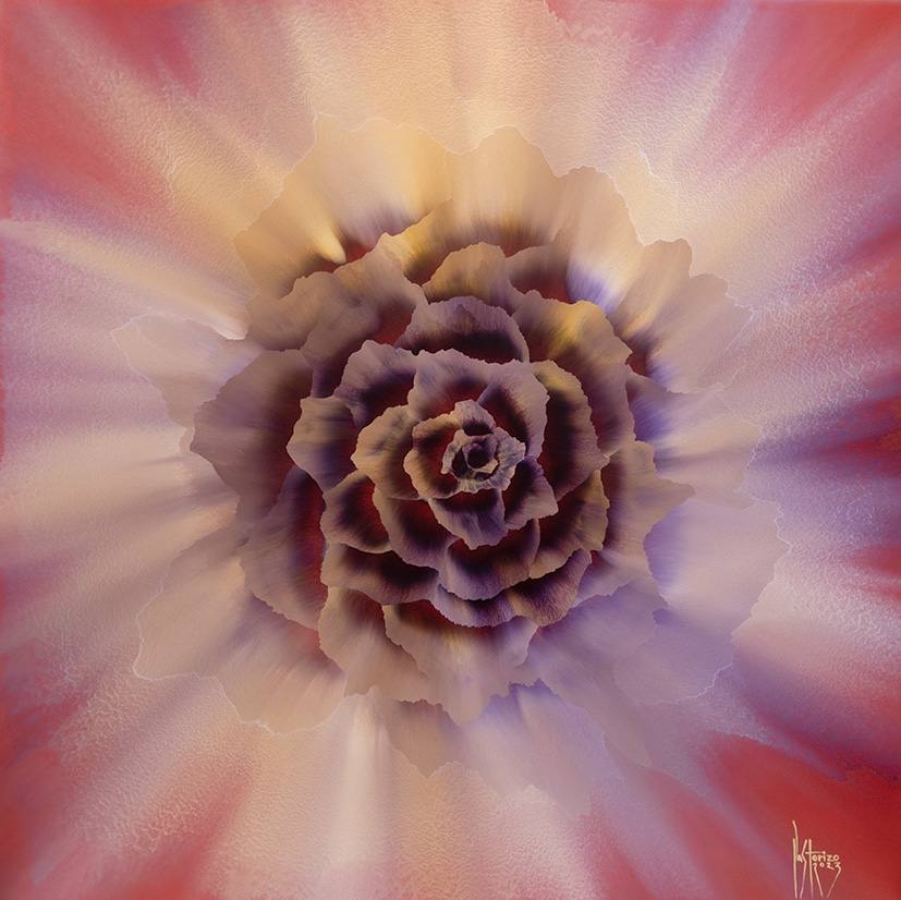 Rosas 5 (Series), 82